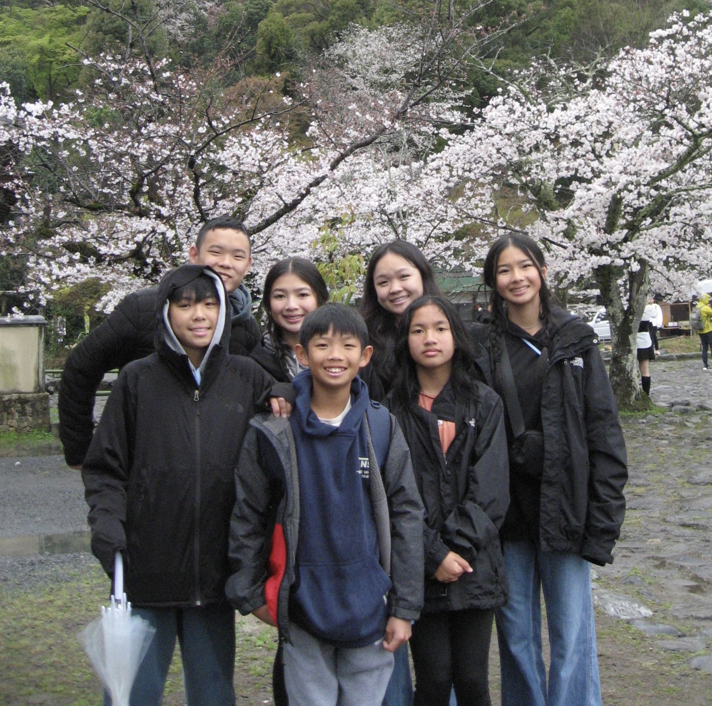 image here